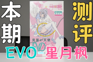 【机长测评】“枫与铃”飞机杯?!来自局长の特殊周边:见习天使(EVO)- “星月枫”